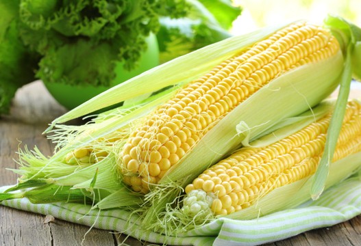 Новость - Досуг и еда - Полтавский знахарь рассказал, как худеть с помощью кукурузы