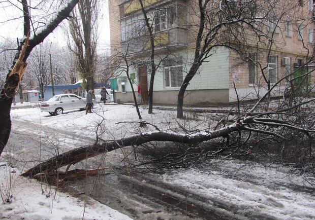 Новость - События - Застрявшие машины и сломанные деревья: итоги снегопада в Полтаве