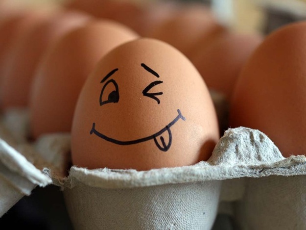 Новость - События - В Полтаве резко подешевеют яйца: узнай насколько