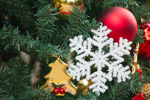 Новость - Досуг и еда - В Полтаве новогодняя елка установила антирекорд: узнай почему