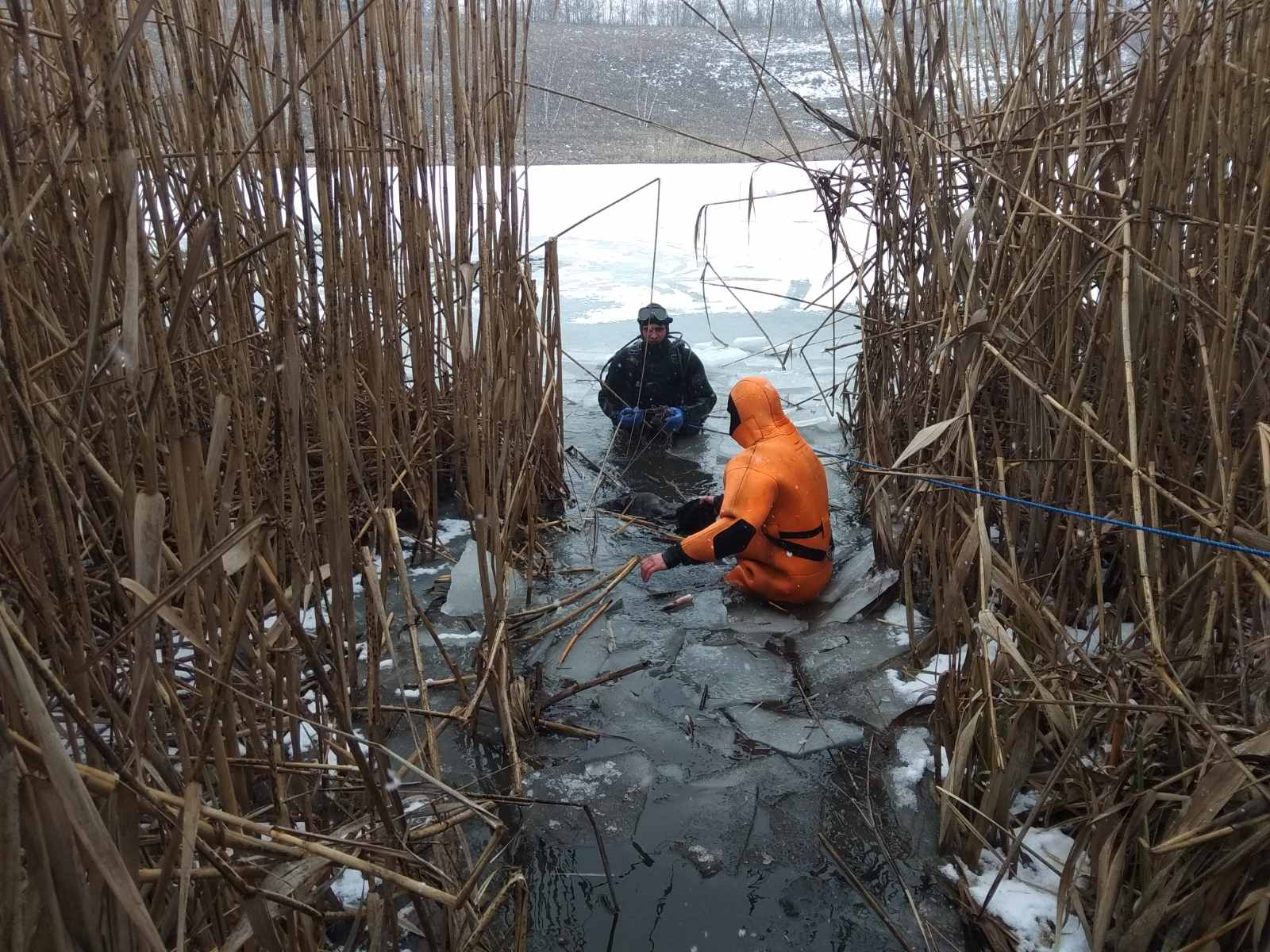 Под Харьковом 80-летний рыбак провалился под лед и погиб. Фото: ГУ ГСЧС в Харьковской области