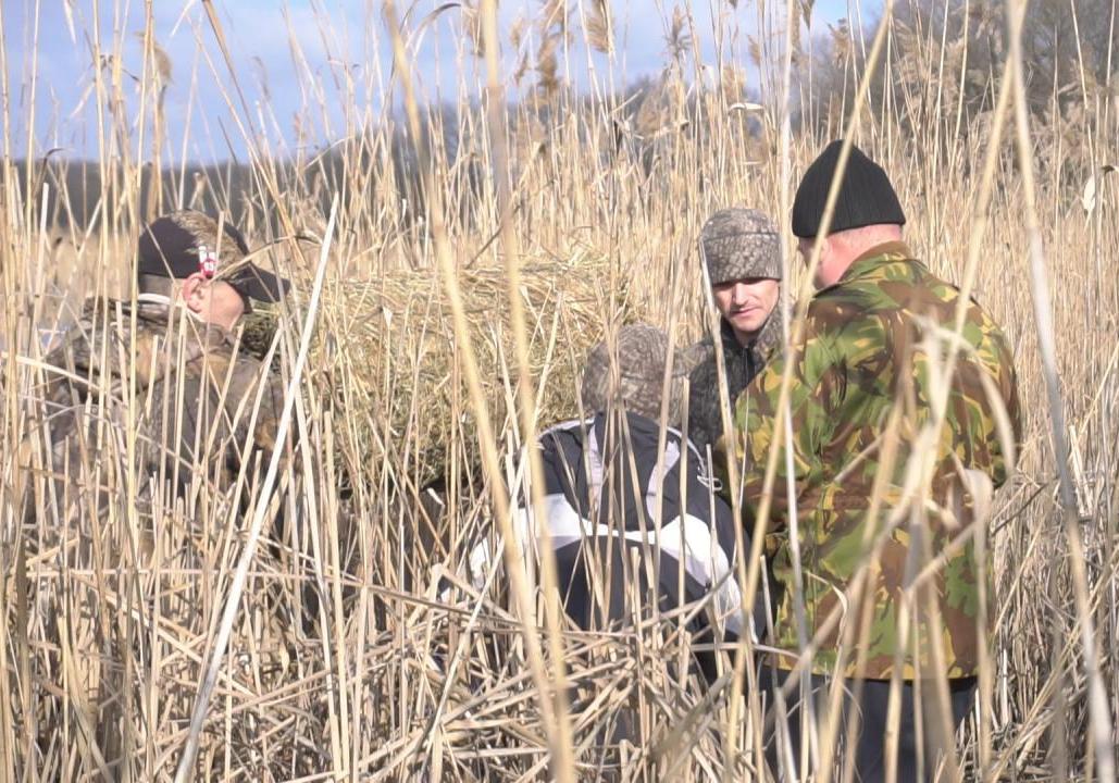 На полтавских болотах охотники устанавливают искусственные гнезда для диких уток