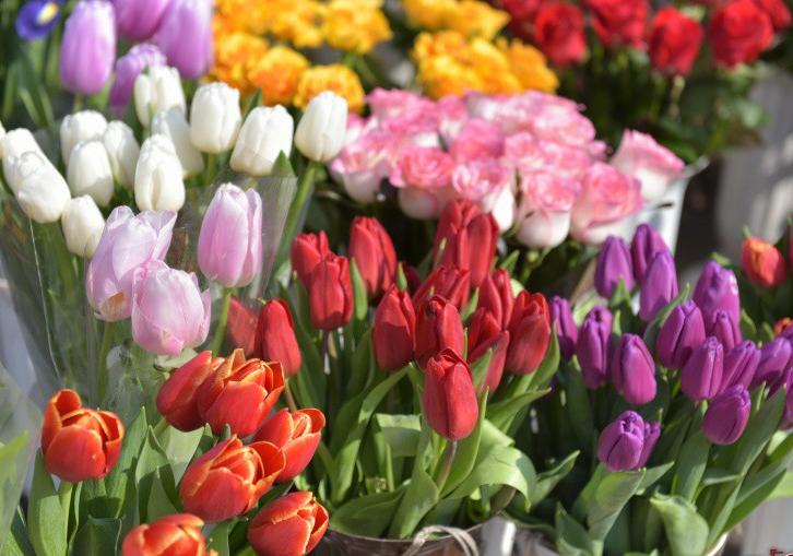 Где в Полтаве будут продавать цветы к 8 марта
