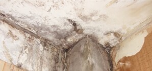 В Харькове начнут изготавливать материалы для ремонта крыш