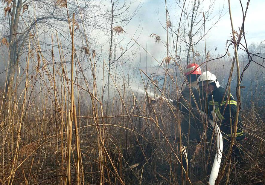 За сутки спасатели ликвидировали 15 пожаров на открытой территории