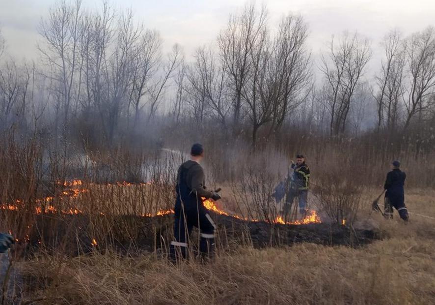 На Полтавщине за сутки выгорело 18 га сухой травы