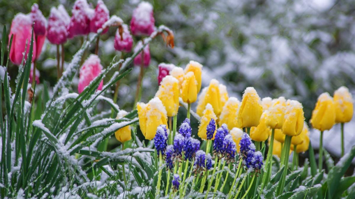 Получи ответ: как долго в Крыму продержится похолодание