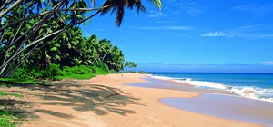 Не могут вернуться: на Шри-Ланке застряло более сотни украинцев