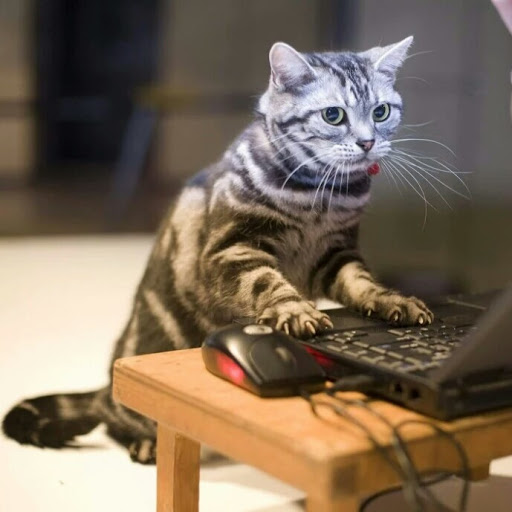 Полезно зафолловить: одесские чиновники и службы в соцсетях