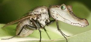 Поп'ють крові: у Львові прогнозують нашестя комарів і кліщів