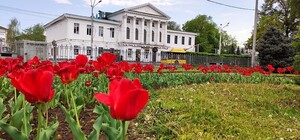 Получи ответ: какие заведения откроются в Полтаве с 12 мая