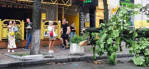 Фотофакт: в Киеве из-за непогоды рухнули деревья