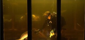 В масках и с баллонами: как водолазы аквариум на Монастырском острове чистили 