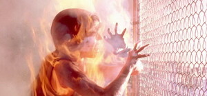 Знойная жара: спасатели объявили штормовое предупреждение