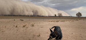 Пугающее зрелище: под Одессой пронеслась песчаная буря