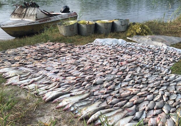 На Полтавщине задержали двух мужчин с крупным уловом рыбы