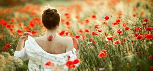 І мак, і коноплі: поліцейські зібрали незаконний «урожай»