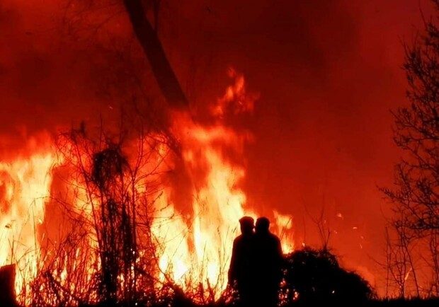 В Полтавской области существенно увеличилось количество пожаров на открытой территории