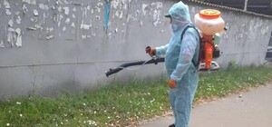 Сообщай адреса: в Одессе специалисты выезжают уничтожать амброзию