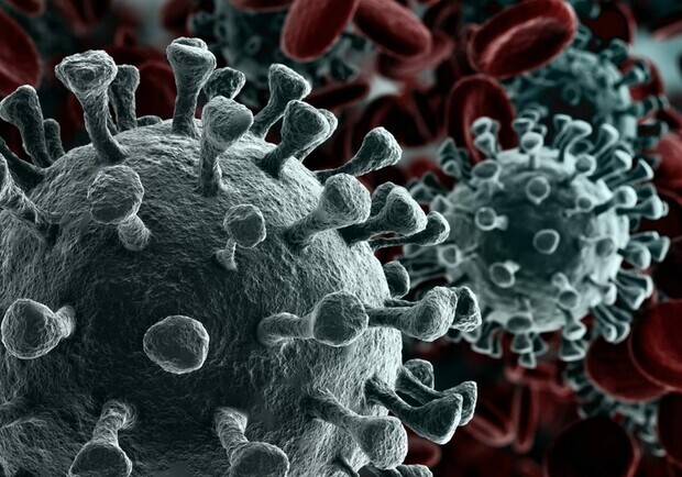 13 новых случаев коронавируса на Полтавщине за сутки. Фото: Вести образования