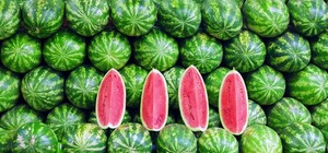 В 3 раза дороже, чем в прошлом году: цены на арбузы в Украине побили пятилетний рекорд