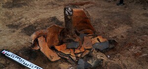 Раскопки на скифских курганах: что удалось найти археологам в Полтавской области