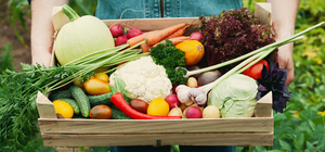 Купуй домашнє: у всіх районах Львова облаштують фермерські ринки