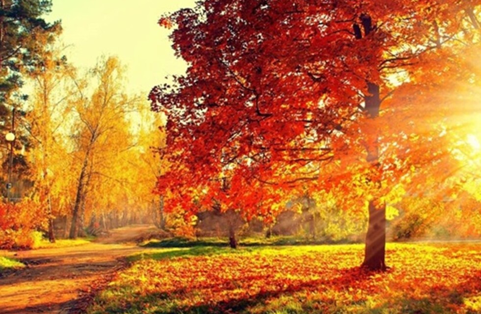 Лучшие места для селфи осенью в Полтаве. Фото: youtube.com