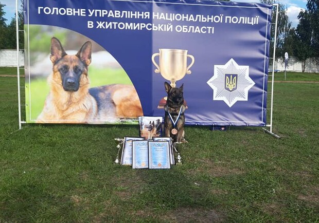 Служебный пес из Полтавы победил на всеукраинских кинологических соревнованиях