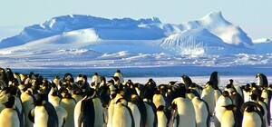 Стань полярником: в Украине открылся набор желающих для экспедиции в Антарктиду