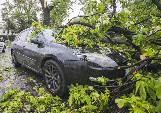 Утро не задалось: на одесской парковке упавшее дерево придавило десяток авто. Фото: pinterest