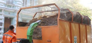 В Полтаве с помощью садового пылесоса убирают листья