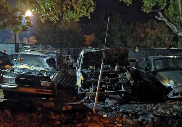 В Кременчуге ночью сгорело 7 машин