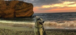 Осенние закаты и рассветы: посмотри, как прекрасна Одесса