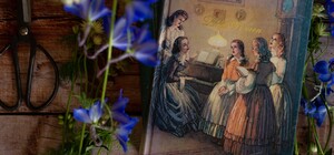 Волонтери дослідили вміст сміттєвих баків у Львові: результати 