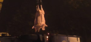 На Полтавщине посреди дороги перевернулся грузовик со свиными тушами: на место аварии вызвали автокран