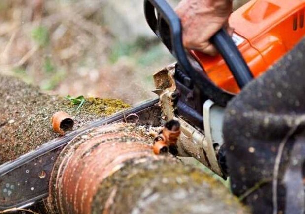 На Полтавщине расследуют загадочную смерть лесоруба. Фото: kharkov.comments.u