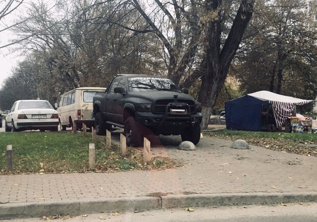 Коммунальщики неделю не могли определиться, кому решать проблему с автохамом. Фото: Vgorode