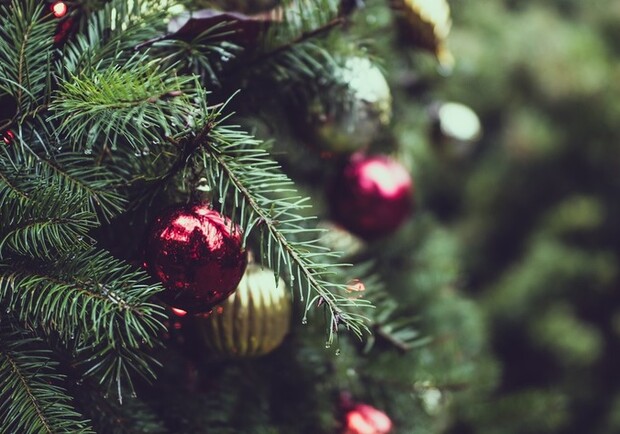 Куда в Полтаве сдать новогоднюю елку. Фото:https://nashkiev.ua/