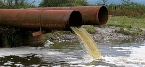 Рыбы больше нет: на Курячьем озере снова была 