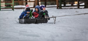Є відповідь: чи треба львівським учням із 15 лютого йти до школи