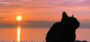 Морозные закаты и рассветы: в Одессе наблюдали алый небосвод