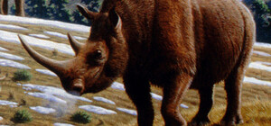 Вымерший вид: под Одессой нашли останки доисторического животного 