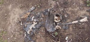 На проспекте Небесной сотни нашли человеческие останки: подробности