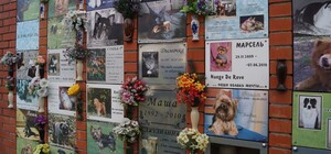 Не только для людей: в Одессе построят крематорий для животных