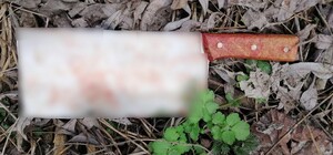 Кровавая расправа: в Борисполе китаец порубил земляка тесаком