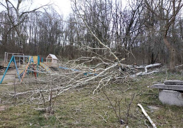 В Полтаве на детскую площадку упало дерево. Фото:poltava.to
