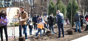 Круто: в Днепре высадили аллею сакур (фото)