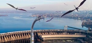 Несмотря на штраф: запорожский 