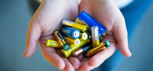 Не надо в урну: в ботсаду ДНУ можно сдать нерабочие батарейки